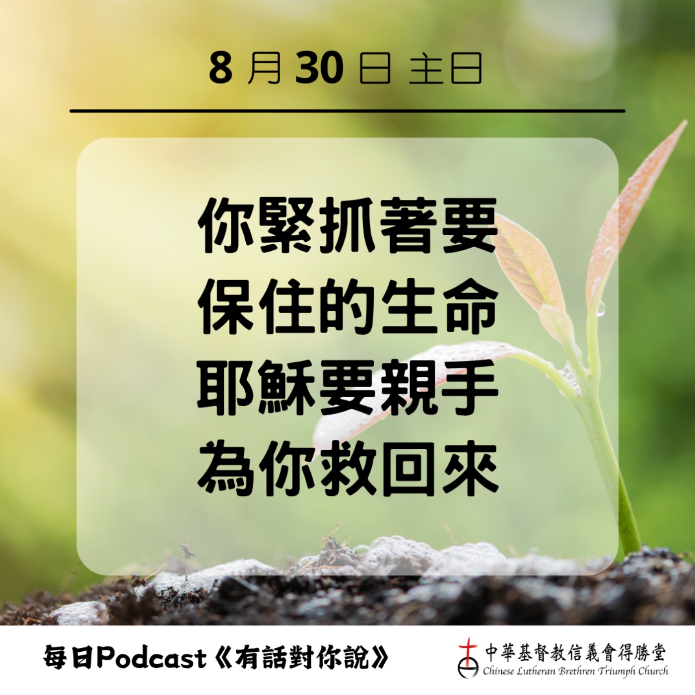 20260830耶穌要救回你的生命 episode artwork
