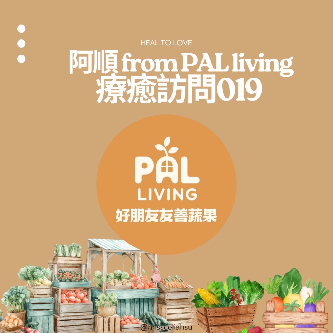 Heal to love 療癒訪問:好朋友蔬果阿順