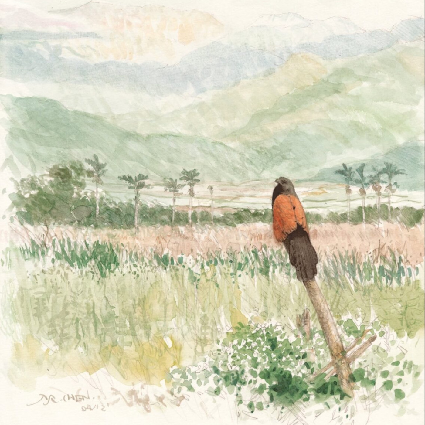EP267  奧德賽和植物朋友們(三) / 一條荒溪的歲月流轉《荒溪歲誌》 episode artwork