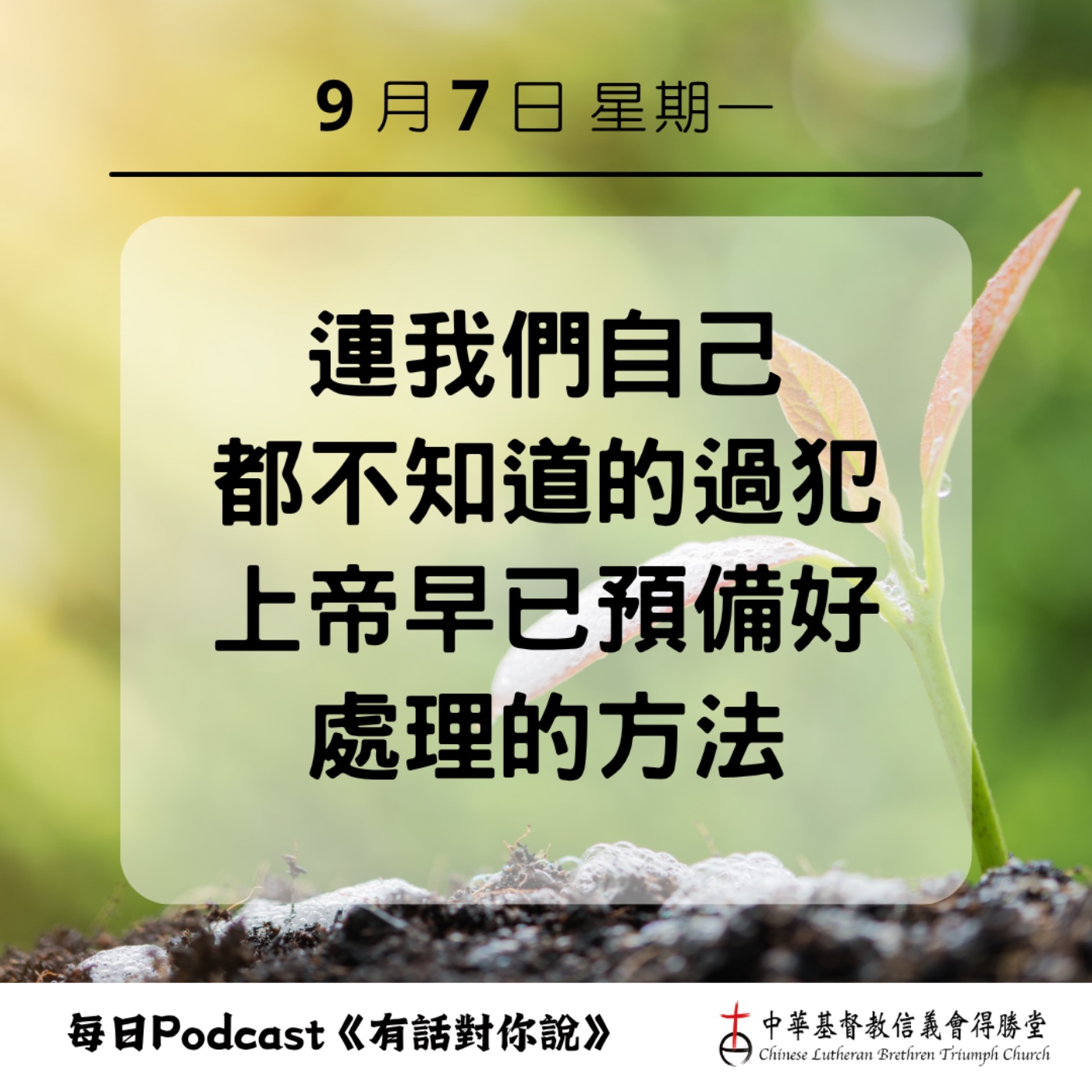 20260907上帝預備赦罪的平安 episode artwork