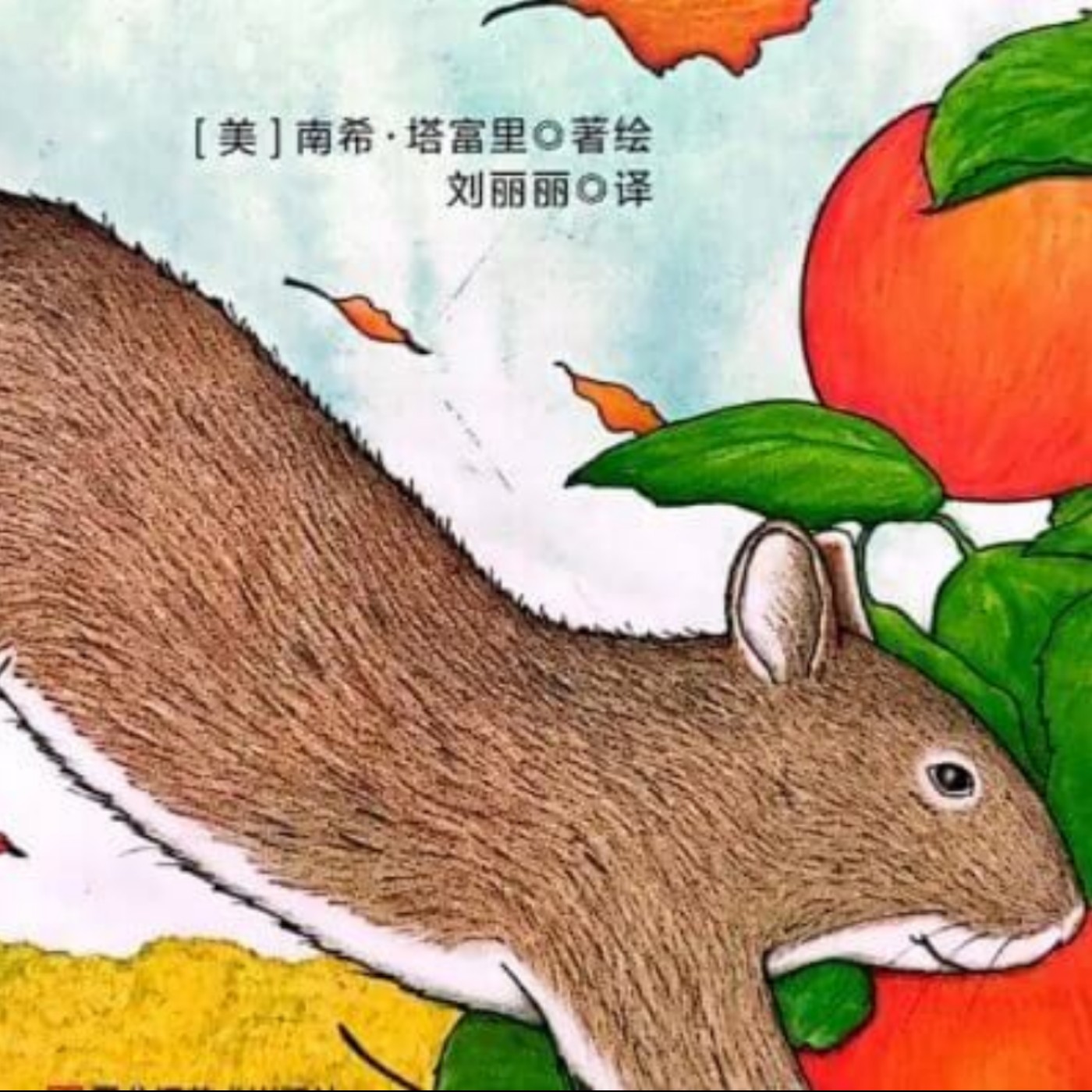繪本故事｜好忙好忙的小鬆鼠