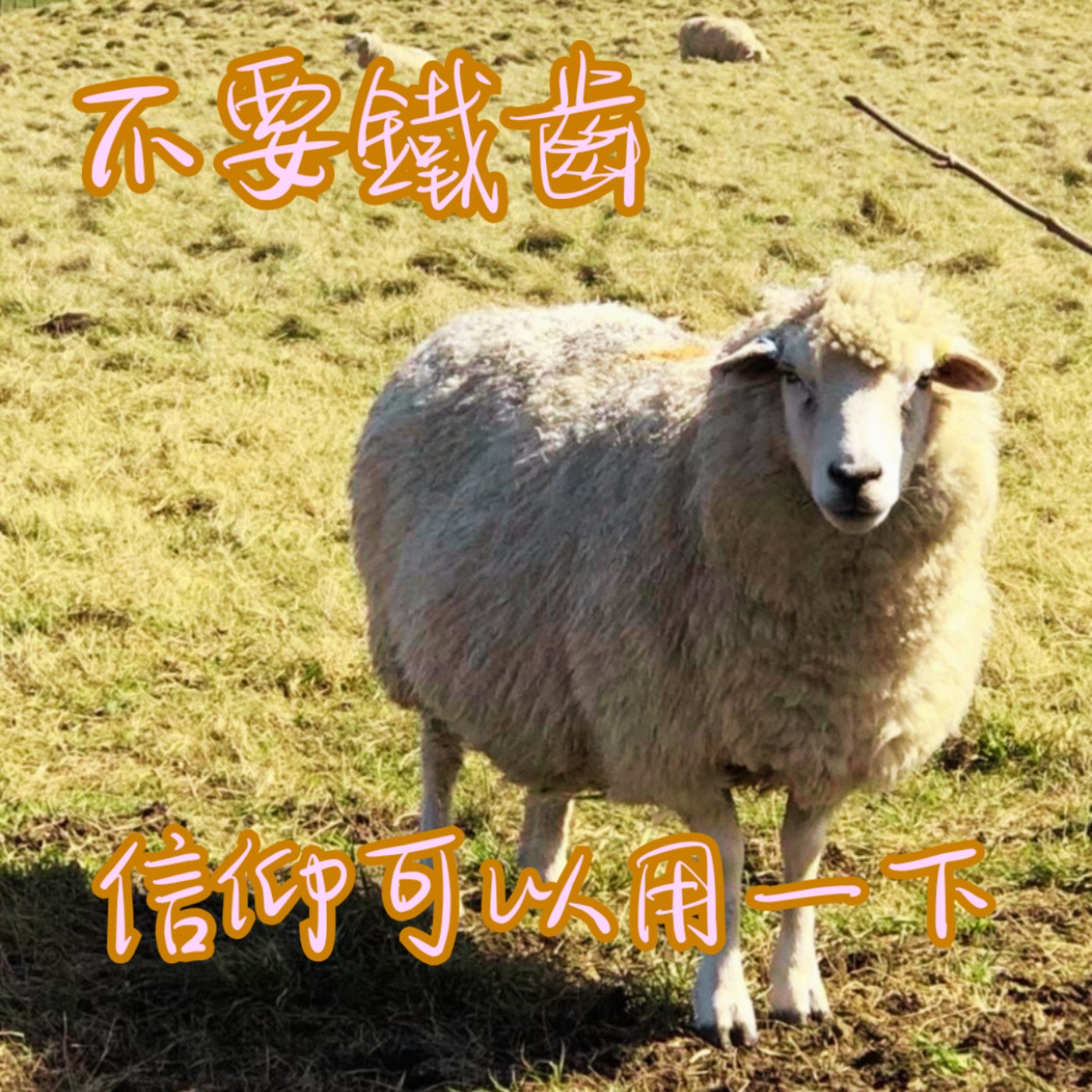 EP43【說】做人不要太鐵齒When nothing else works, give faith a try｜沒辦法了，信仰拿出來用一下 episode artwork