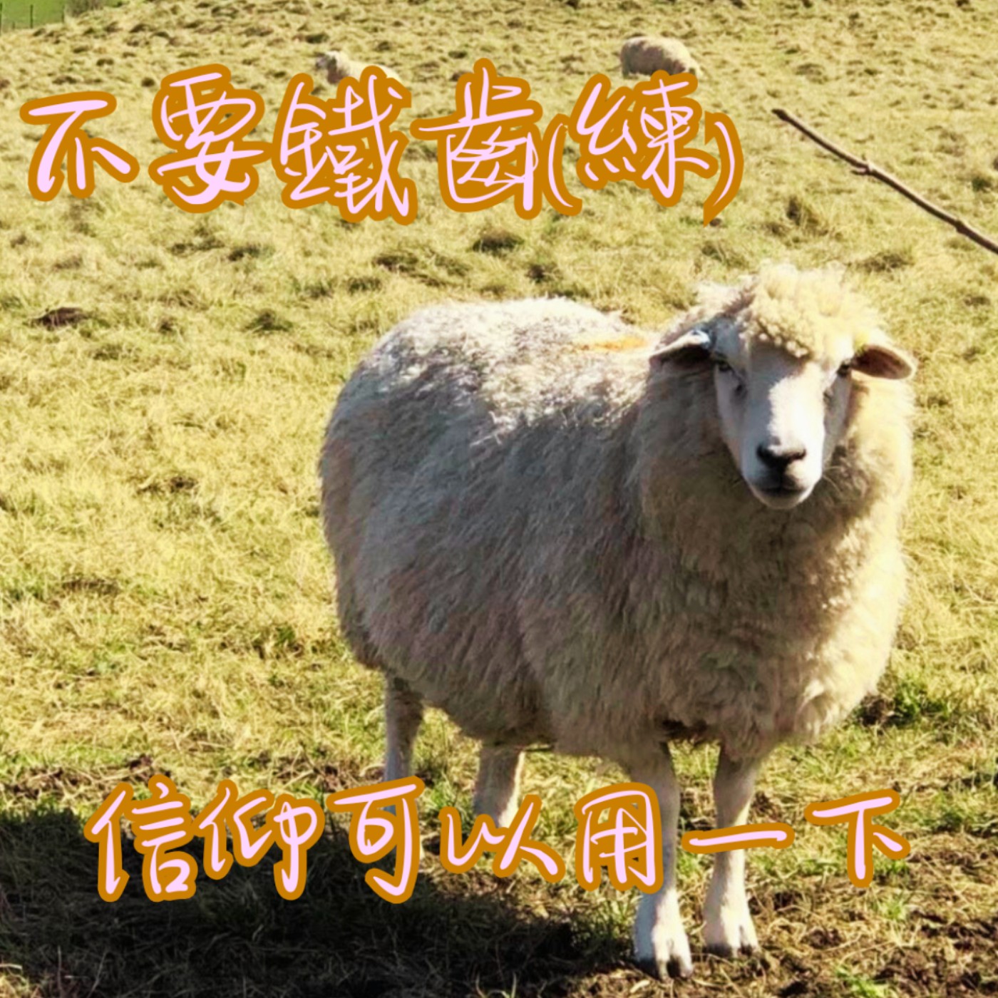 EP44【教你說】做人不要太鐵齒When nothing else works, give faith a try.｜沒辦法了，信仰拿出來用一下 episode artwork