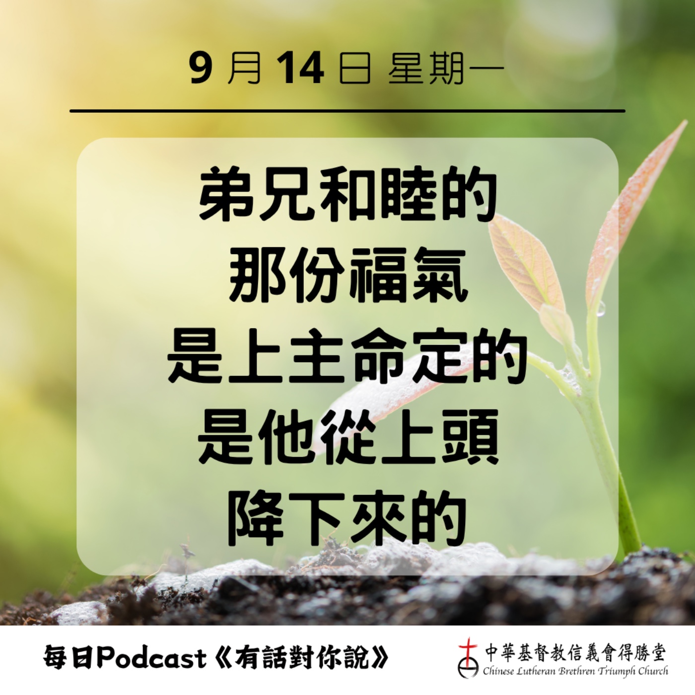 20260914和睦同居的祝福 episode artwork