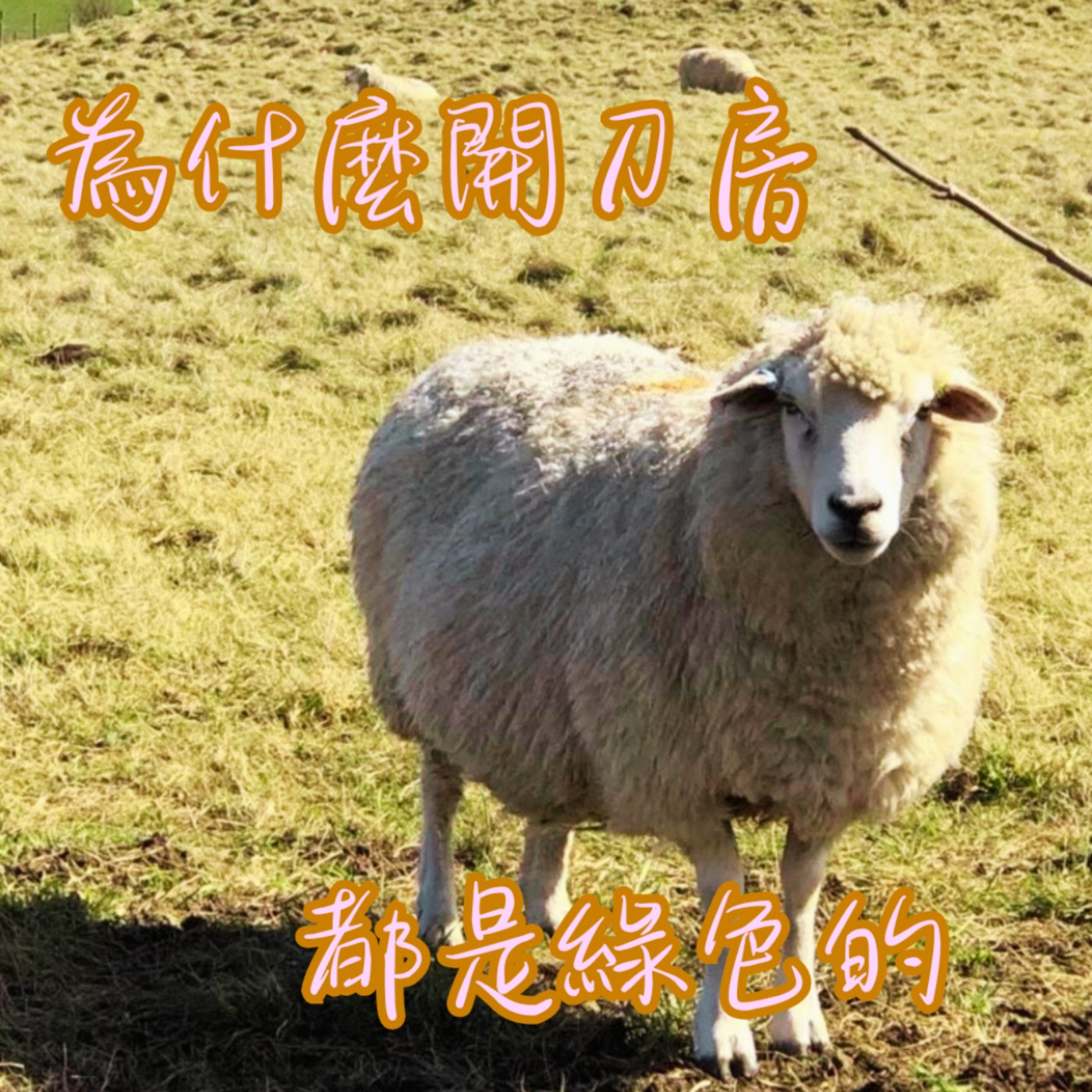 EP45【說】開刀房為什麼都是綠色的？Why Are Operating Rooms Always Green?｜絕對不是為了好看這種膚淺的原因 episode artwork