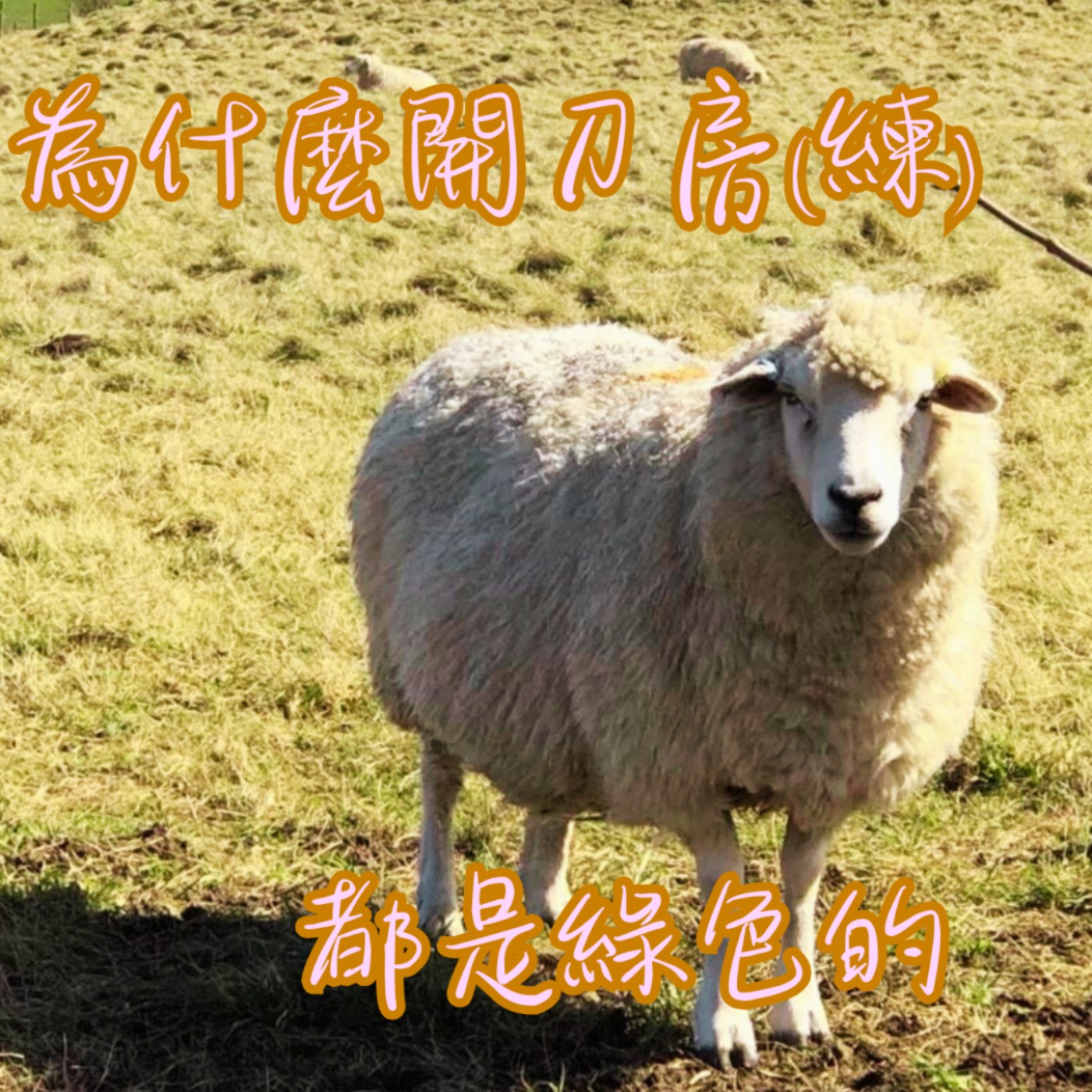 EP46【教你說】開刀房為什麼都是綠色的？Why Are Operating Rooms Always Green?｜絕對不是為了好看這種膚淺的原因 episode artwork