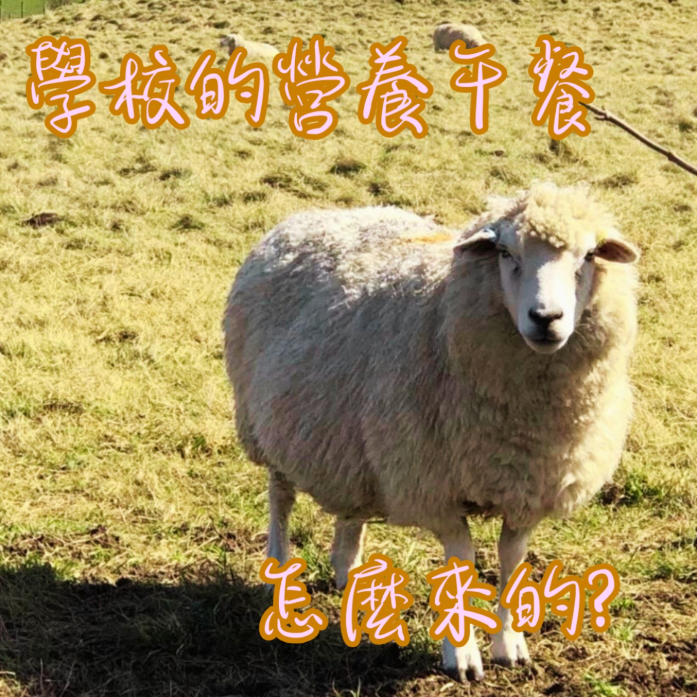 EP47【說】我小時候不太喜歡的營養午餐The History of Taiwan’s School Lunch Program.｜原來那一餐也有歷史 episode artwork
