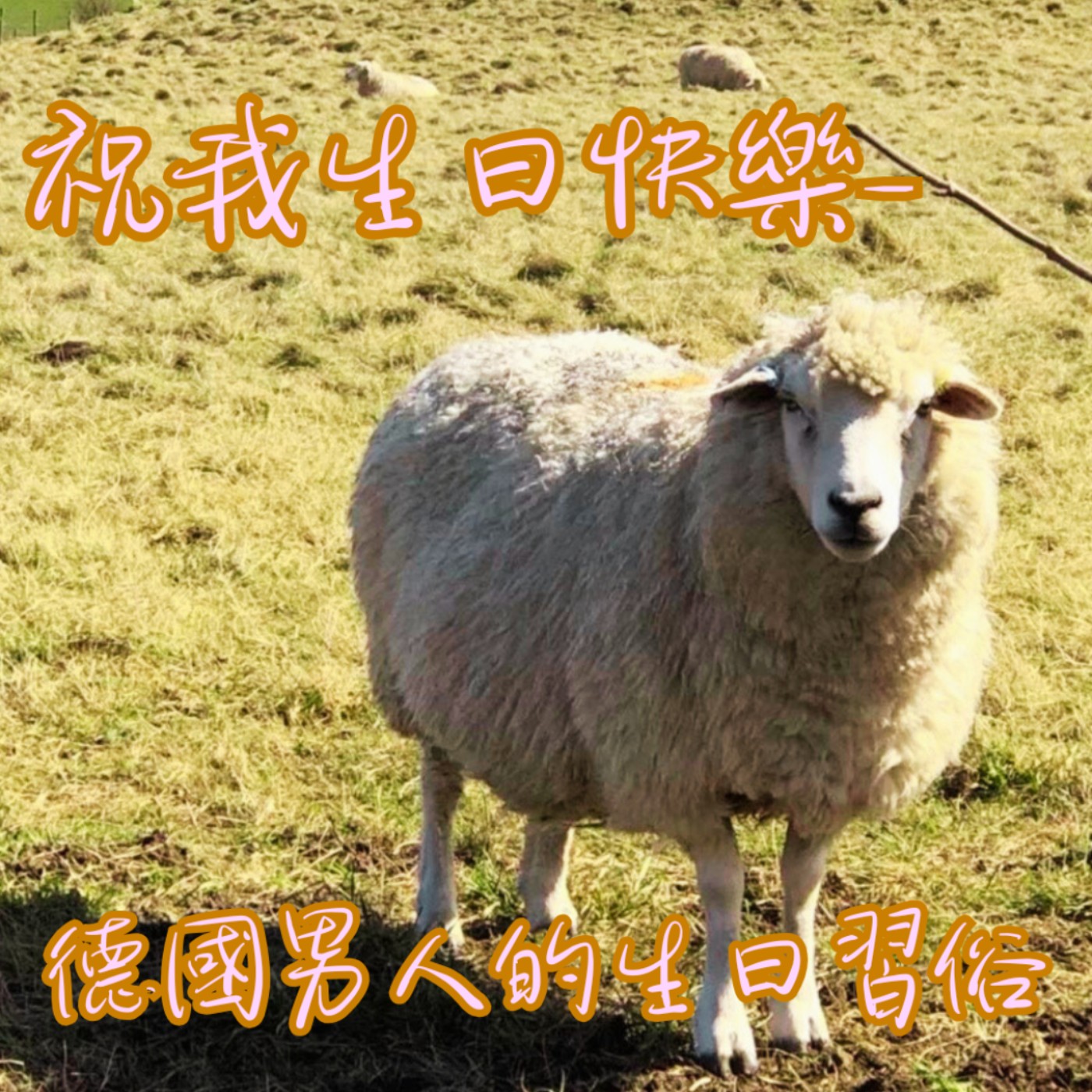 EP53【說】30 歲還沒結婚,生日竟然要去掃樓梯?A Bizarre German Birthday Tradition|德國的怪奇生日習俗